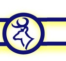 Gerrish Higgins Schools